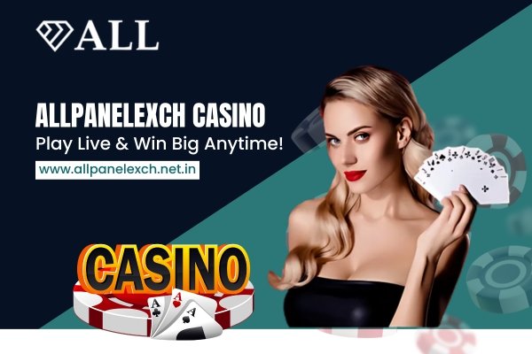 AllPanelExch Casino – Play Live & Win Big Anytime! 1 image